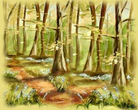Nos forêts